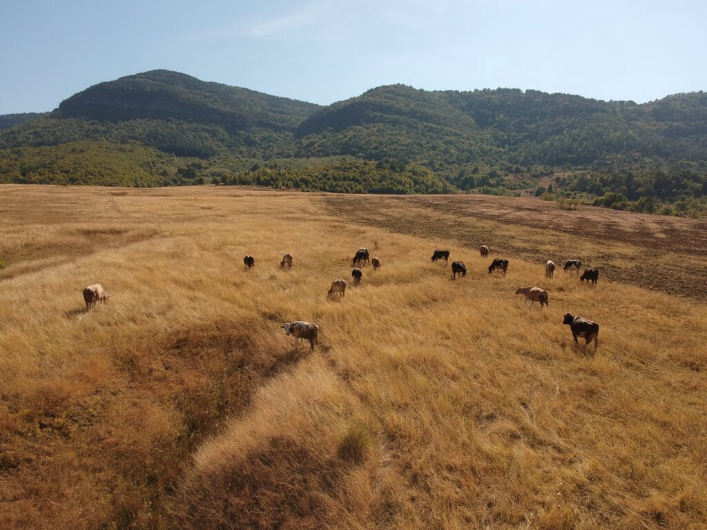 Bulharský venkov